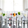 Fruit-Infused Sparkling Water