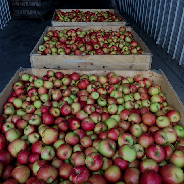 We've had a amazing year with apples here in Shoreham, Vermont. We hope folks in NYC get to taste...