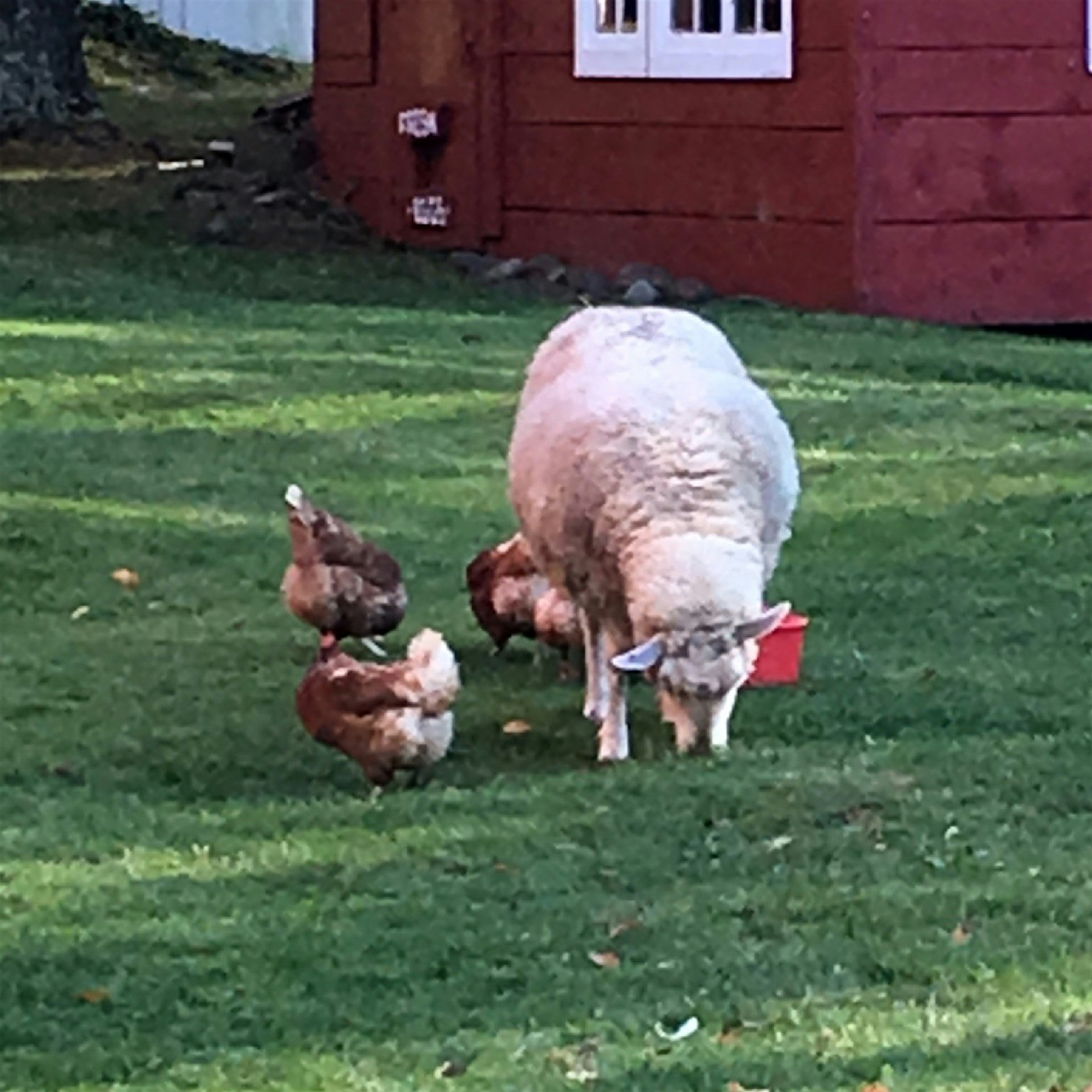 The girls grabbing some lunch!