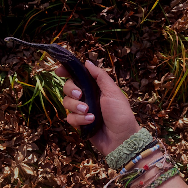 Surprise garden gem today! Finally an eggplant! Only one for the season, but I'll take it! 🍆✨