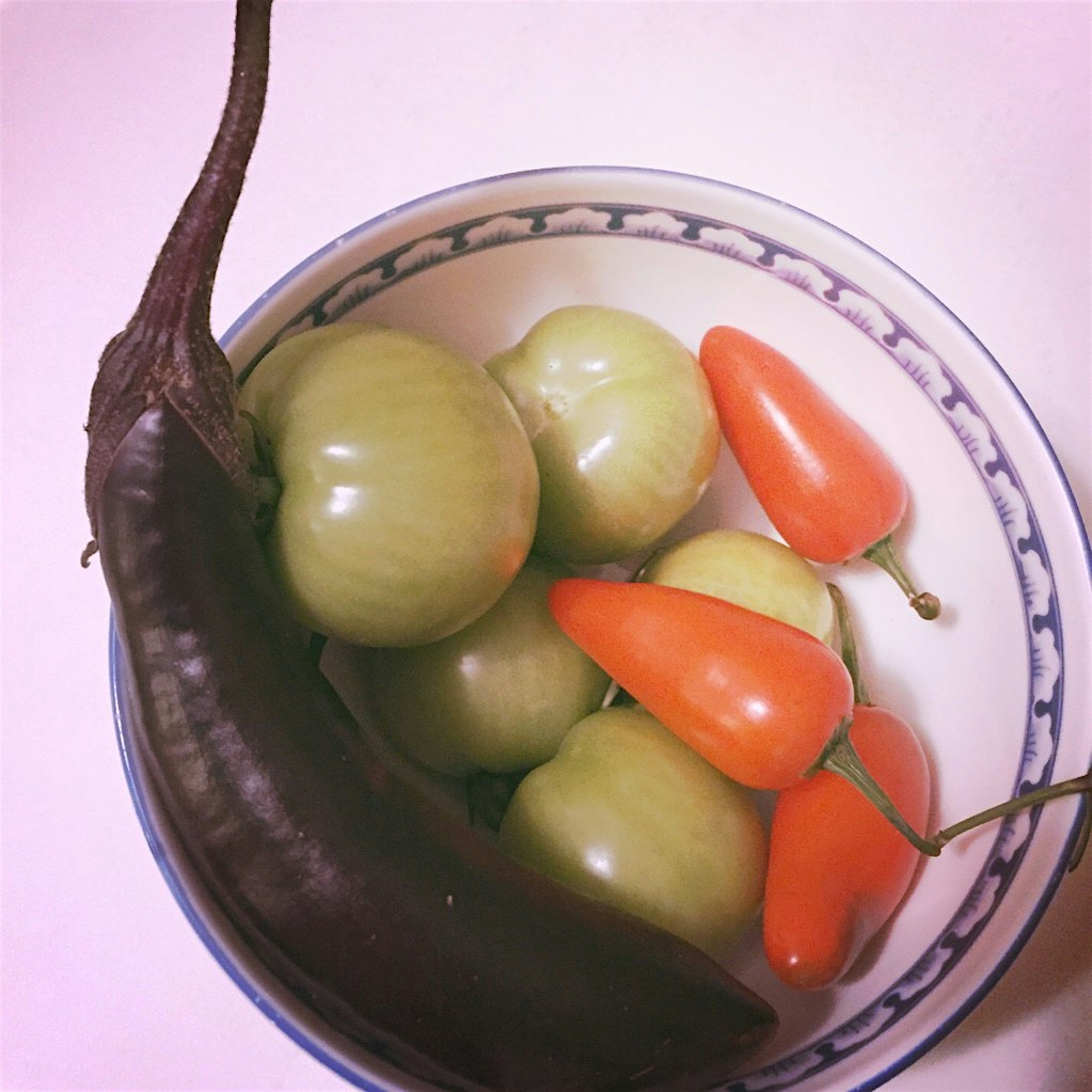 The last of my summer harvest! Who says tomatoes have to be red?! 🍅💚 Don't let green tomatoes go ...