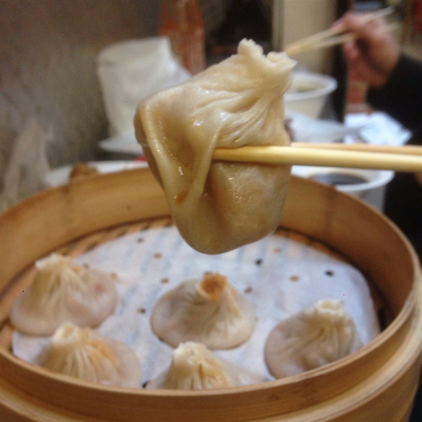 Stumbled upon a small food stall in #flushing best dumplings of my life! Check for golden shoppin...