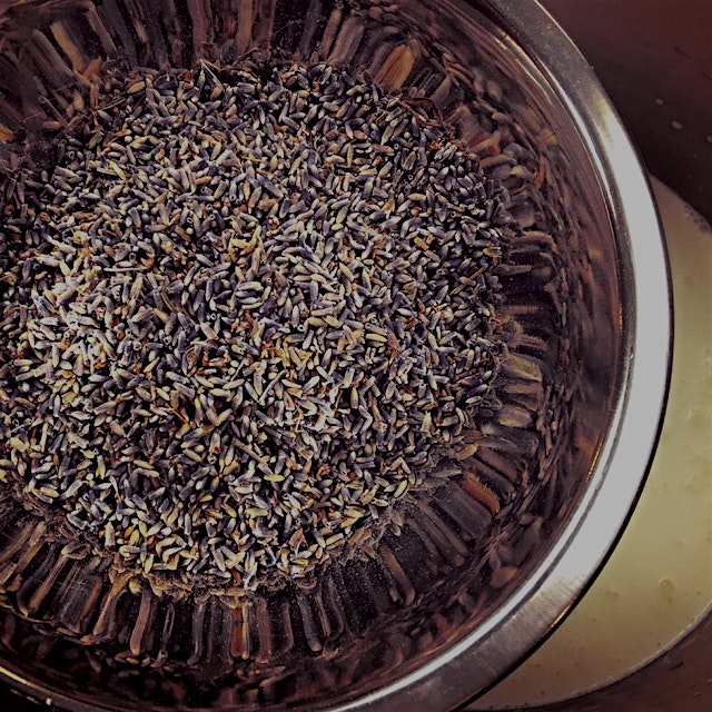 Our fragrant bowl of lavender for our honey-lavender ice cream to be featured at @KOMEEDA's Frien...
