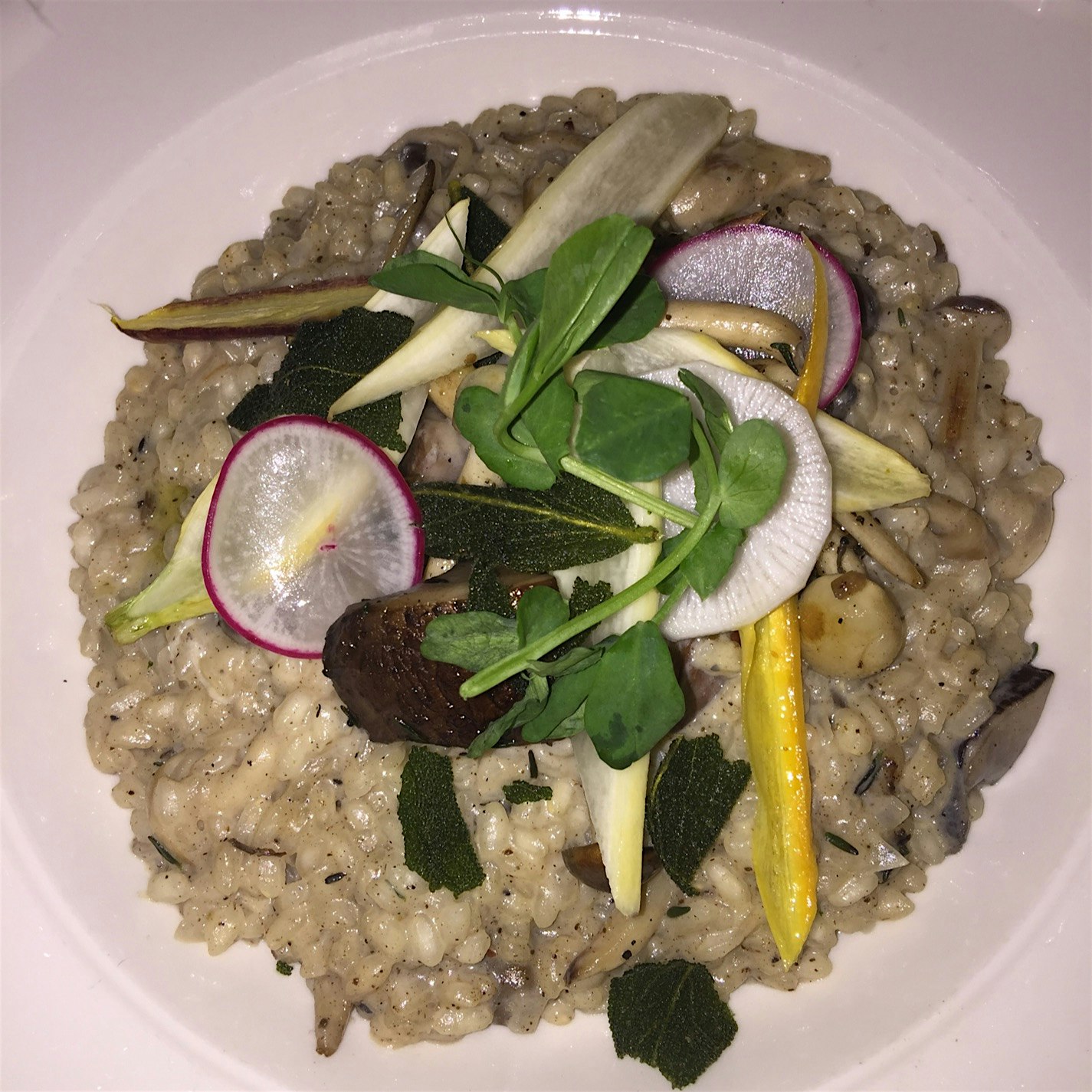 Incredible Mushroom Risotto!