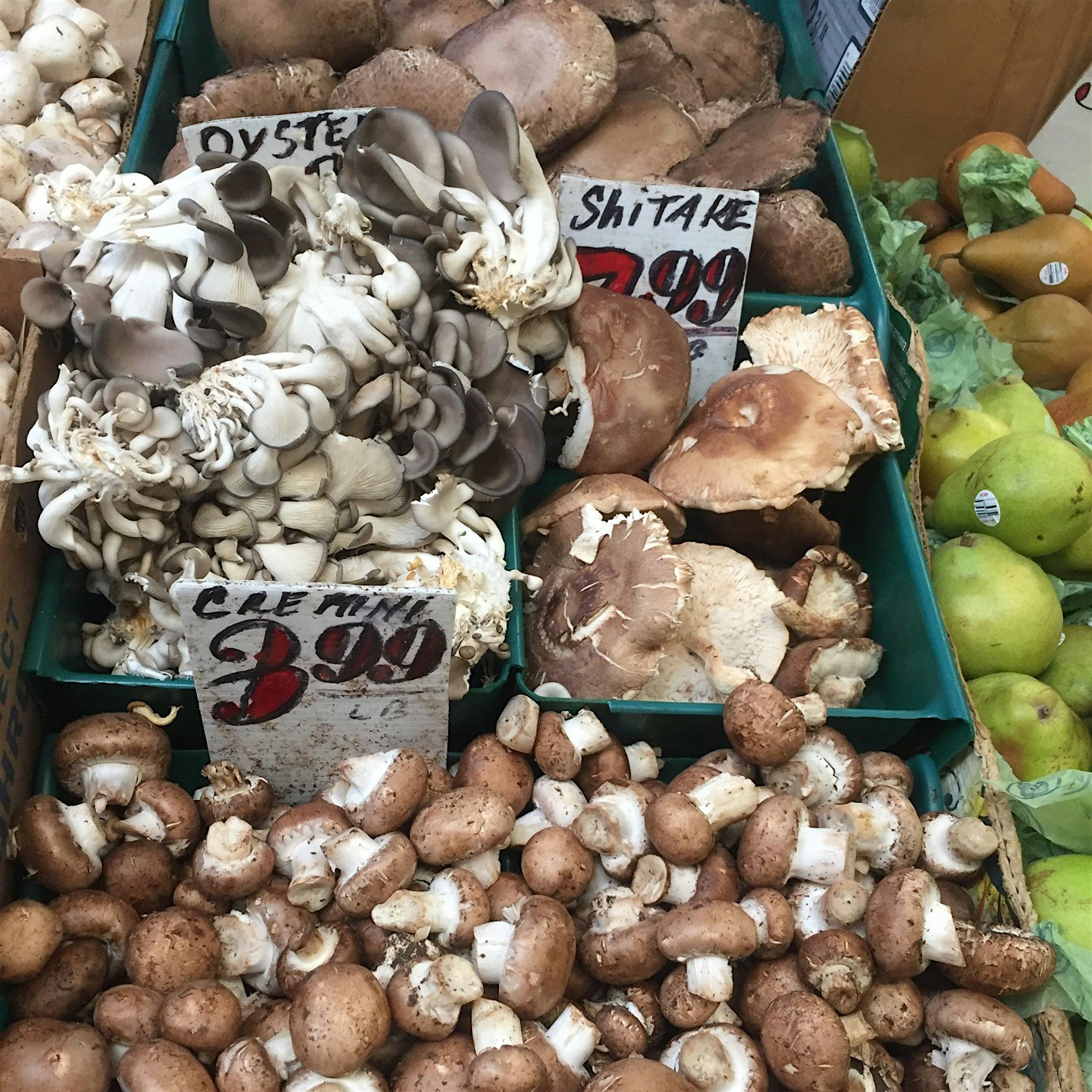 It's beginning to look a lot like Thanksgiving! 