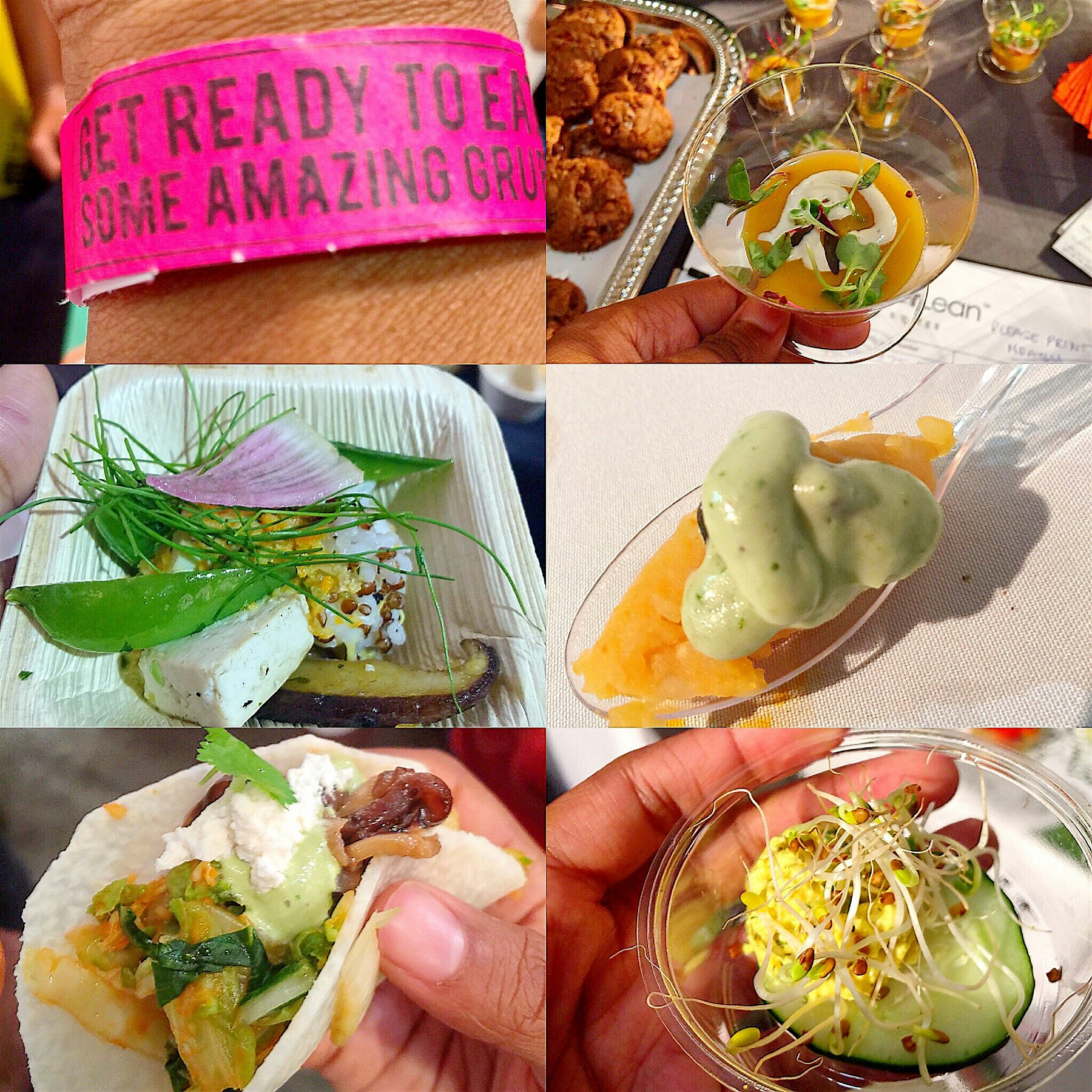 SEED Food and Wine Festival 2015 in Miami - All Plant based = AWESOME