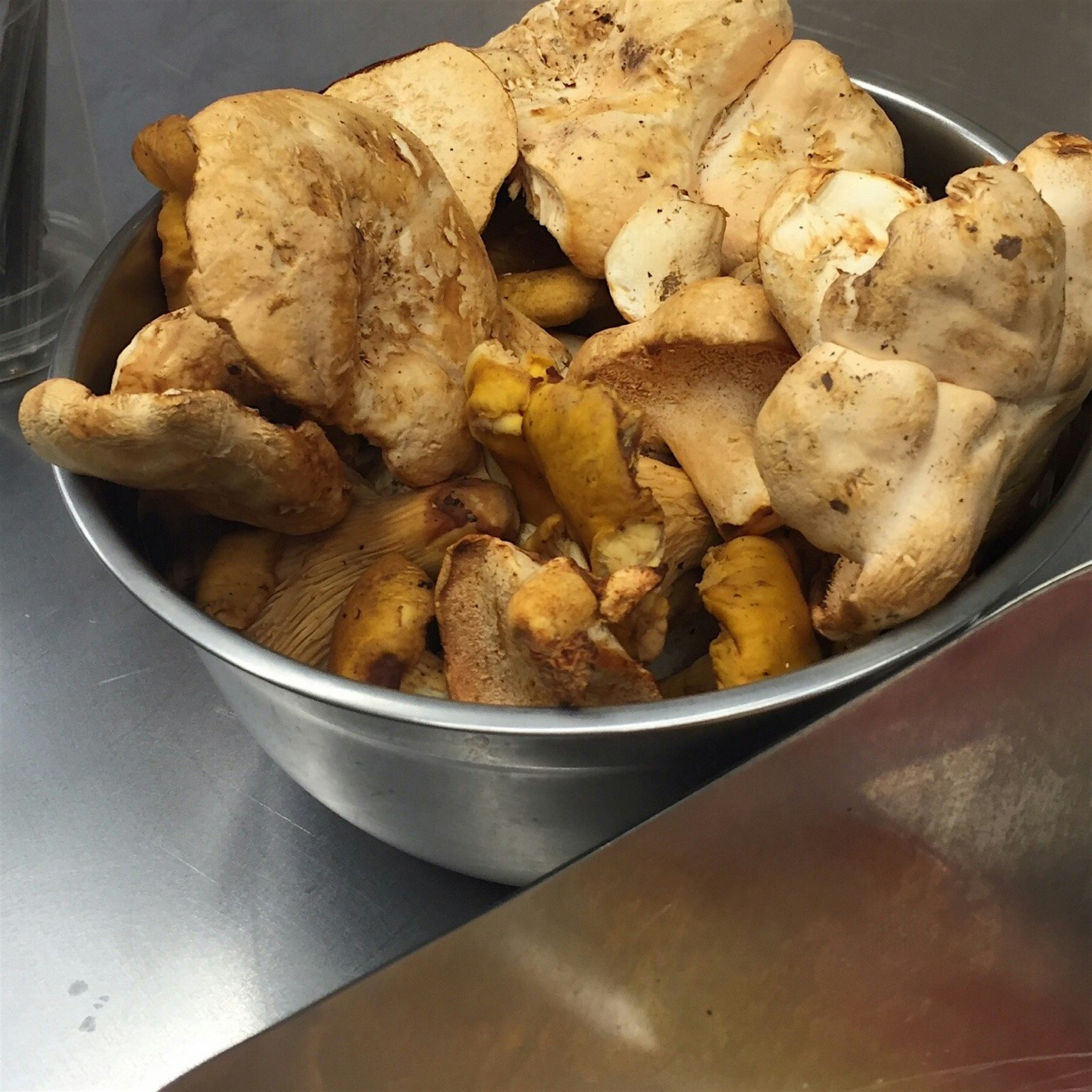 Foraged hedgehogs and chanterelles - Hudson NY