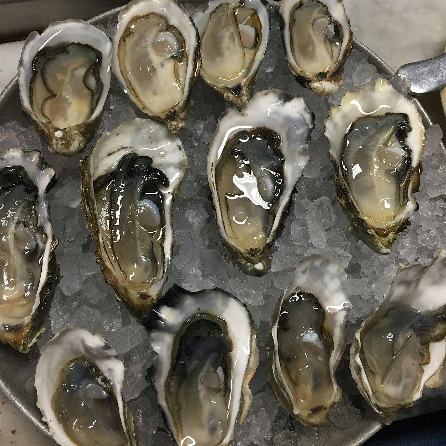 Three types of Kumamotos 