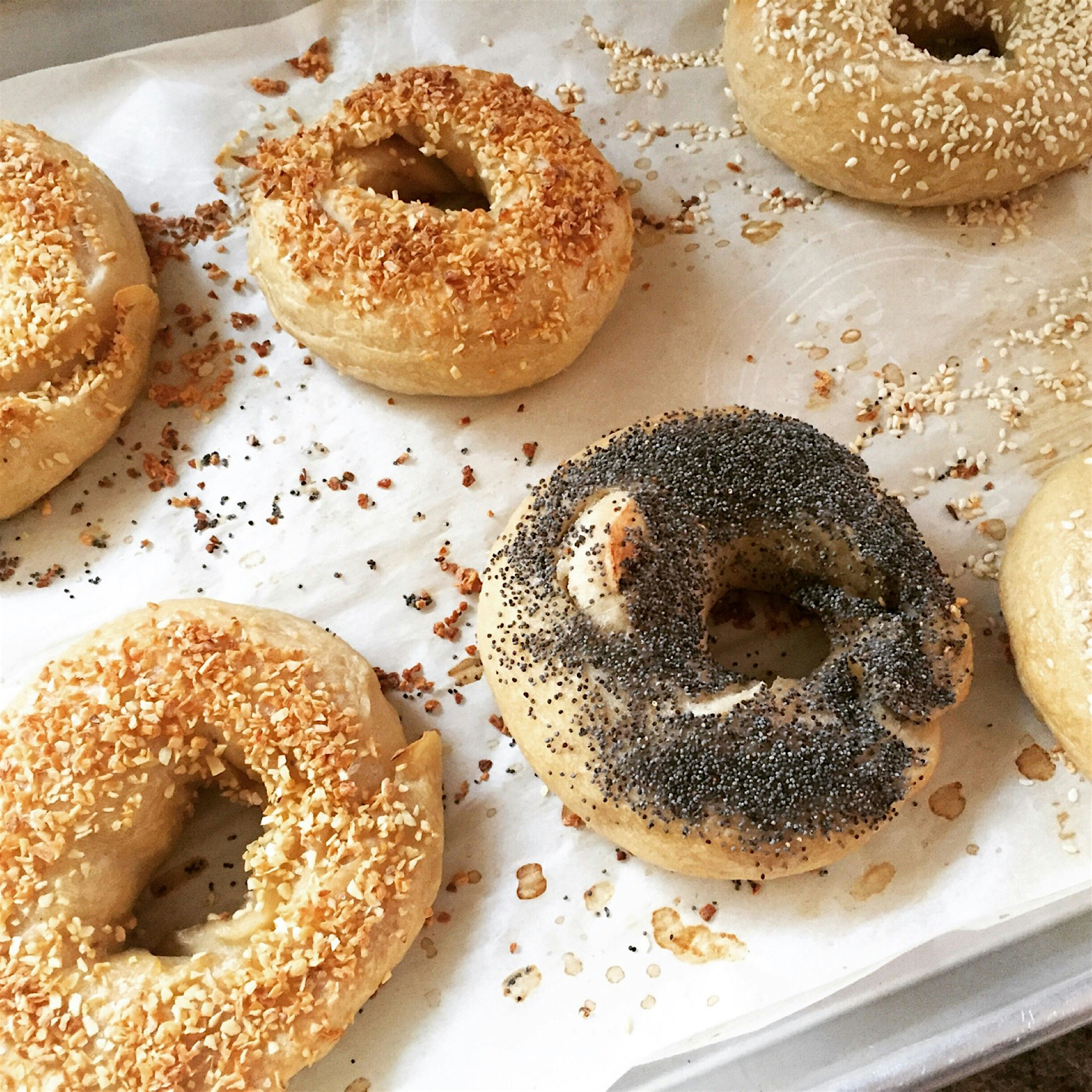 Sister-in-law made bagels! So impressed and they were amazing!
