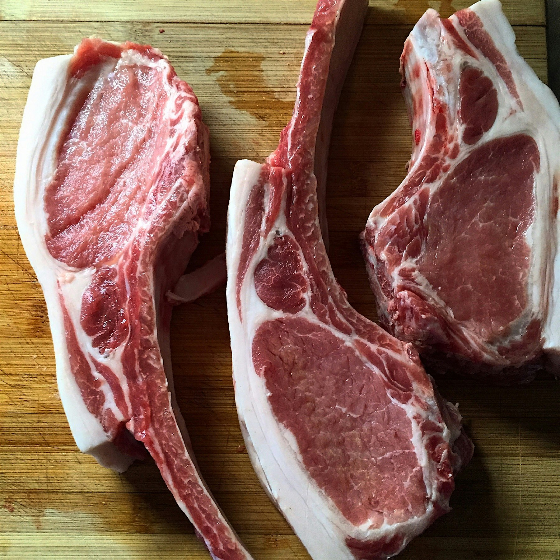 Beautiful chops cut today. 