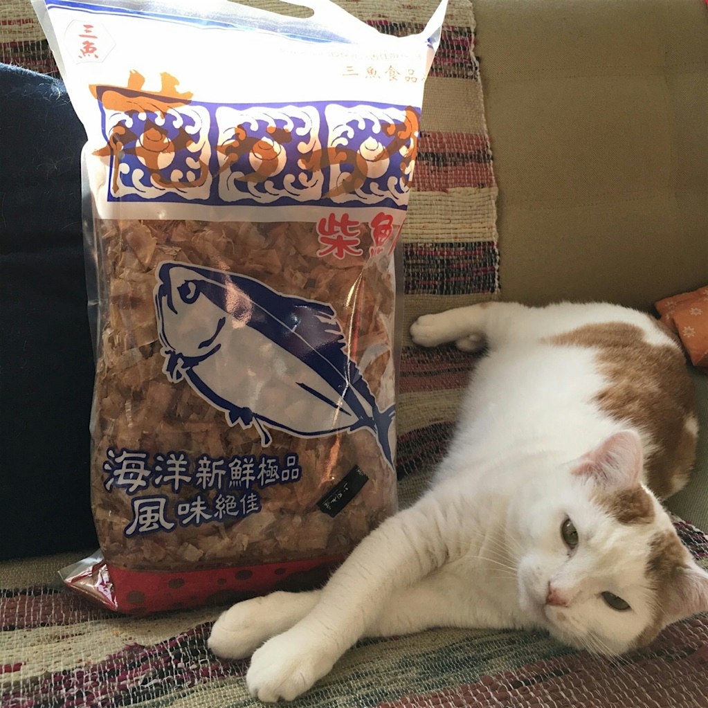 Bonito haul from #Taipei's answer to #Tokyo's Tsukiji fish market -- cat for scale. Destined for ...