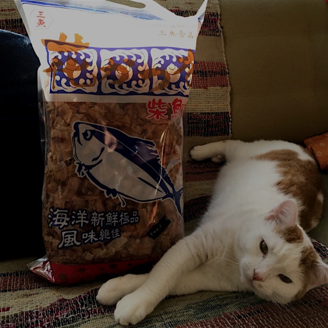 Bonito haul from #Taipei's answer to #Tokyo's Tsukiji fish market -- cat for scale. Destined for ...