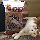 Bonito haul from #Taipei's answer to #Tokyo's Tsukiji fish market -- cat for scale. Destined for many homemade soups, dashi, salad and broth this winter #addictionfishmarket #addictionaquaticdevelopment #shanyin #soupstatus #getreal