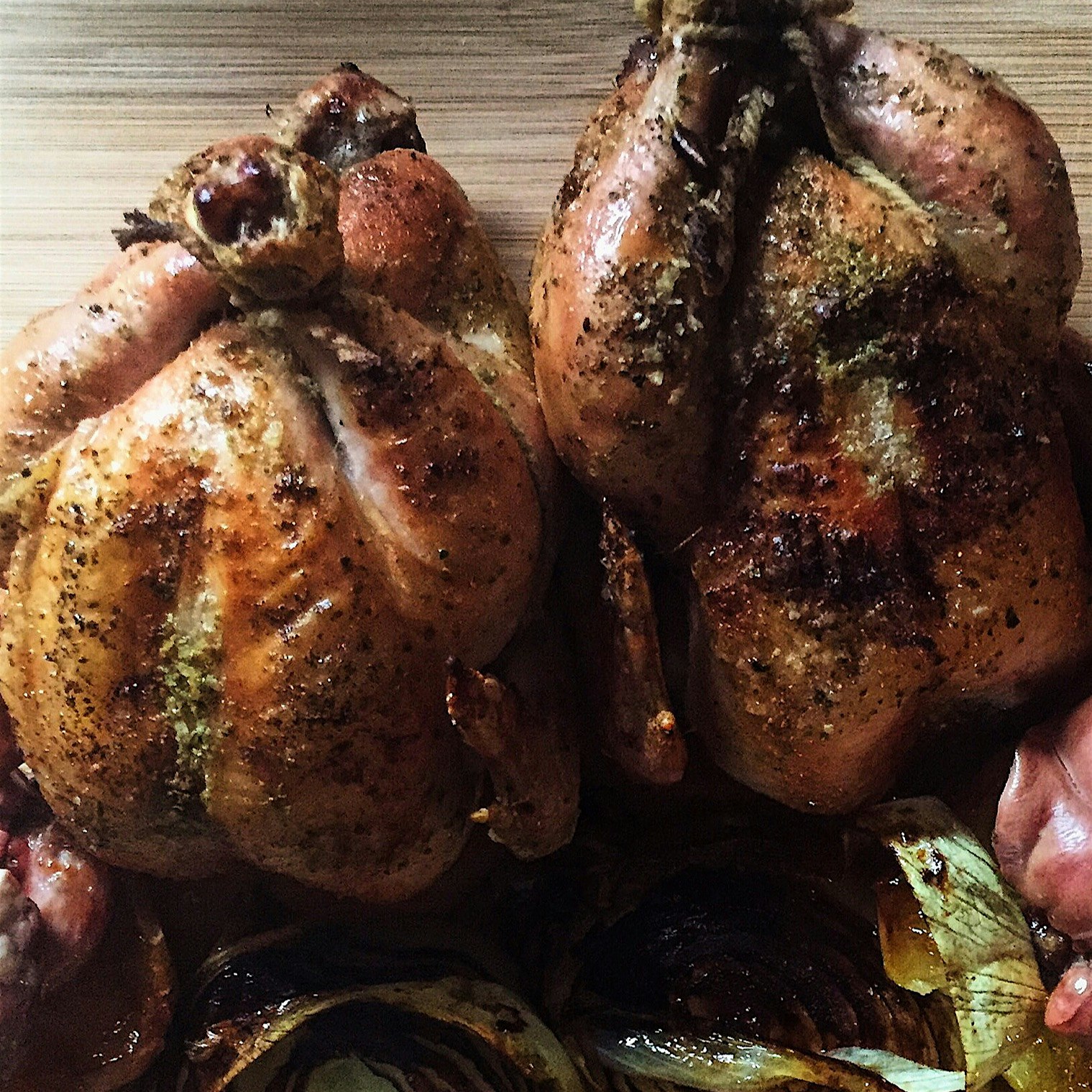 Cornish game hens from Bella Terra Farm purchased fresh from Schenectady Farmers Market today  