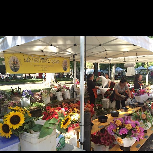 More from the bountiful Portland Farmers Market