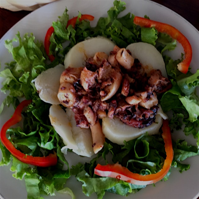 incredible grilled octopus in montezuma CR 