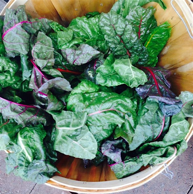 Get ya greens in!!!! 🐢🍃🍀🌲🌳