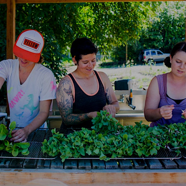 These superwomen have combined their individual passions for food, organic farming, and feeding l...