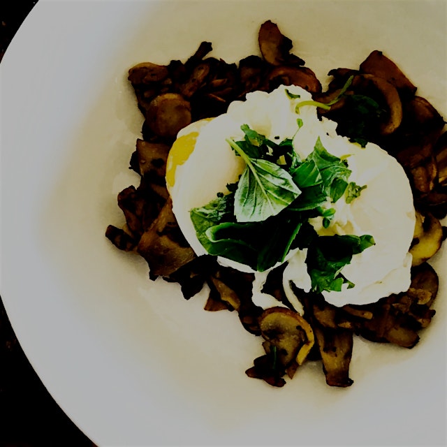 Made a speedy breakfast with @akhilg2002 of mushrooms topped with poached eggs and homegrown basi...