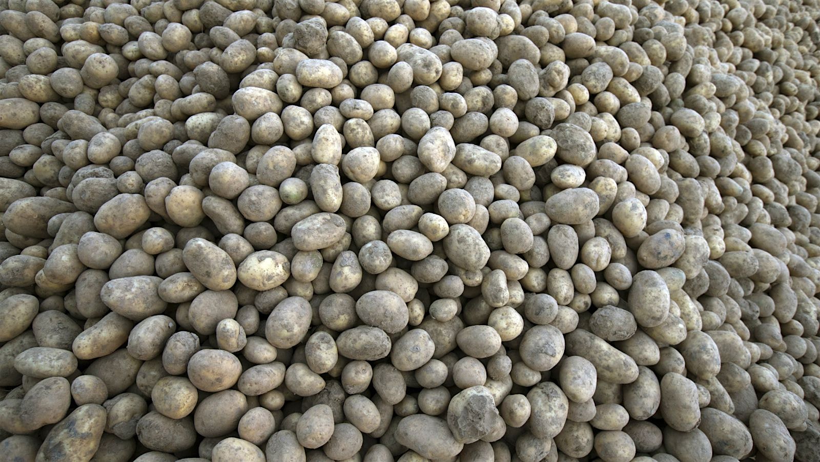 "To lose weight and improve his relationship with food, Andrew Taylor has decided to eat only pot...