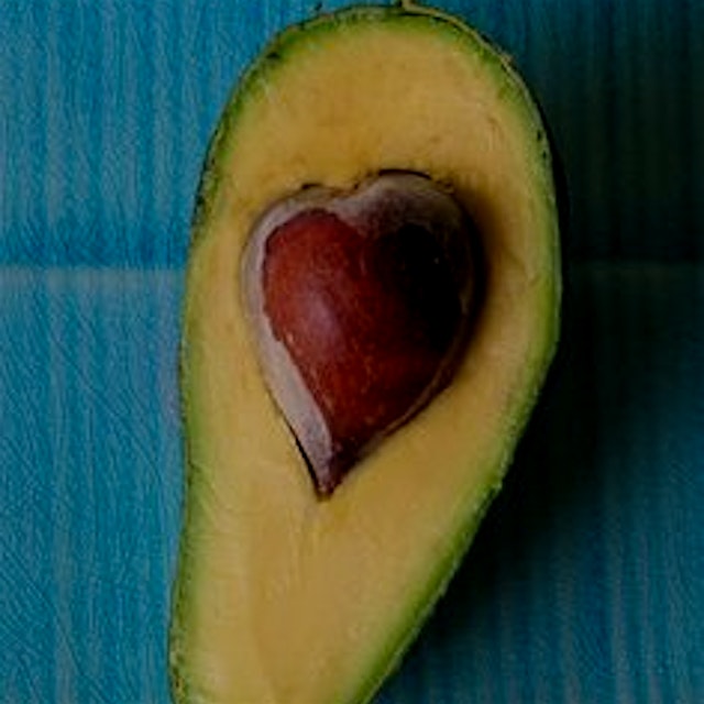 "Our latest obsession: The Avocado Seed. Now that the weather is 
getting unpredictable in NYC a...
