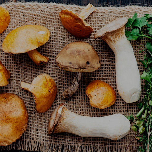 Medicinal mushrooms and other adaptogens like maca are gaining popularity because they may regula...