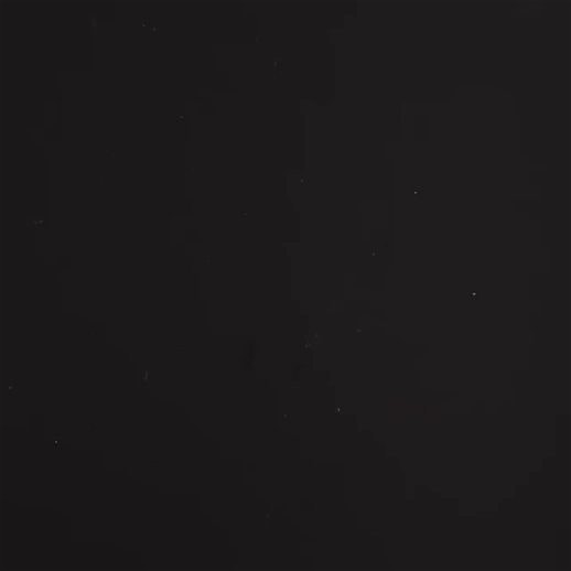 Similar to the cauliflower pizza. @Riki @lauren 