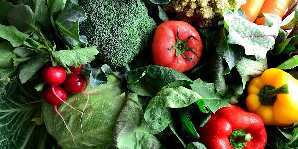 "The Greek philosopher Pythagoras became something of an outsider because of his diet."