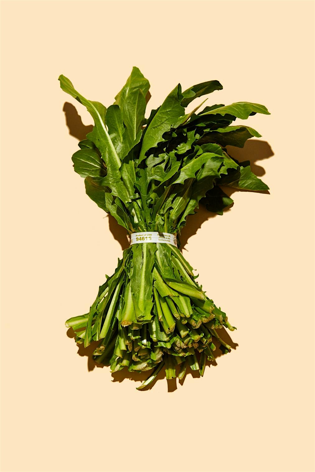 "One study found when strangers viewed photographs of people’s faces, they rated the people who a...