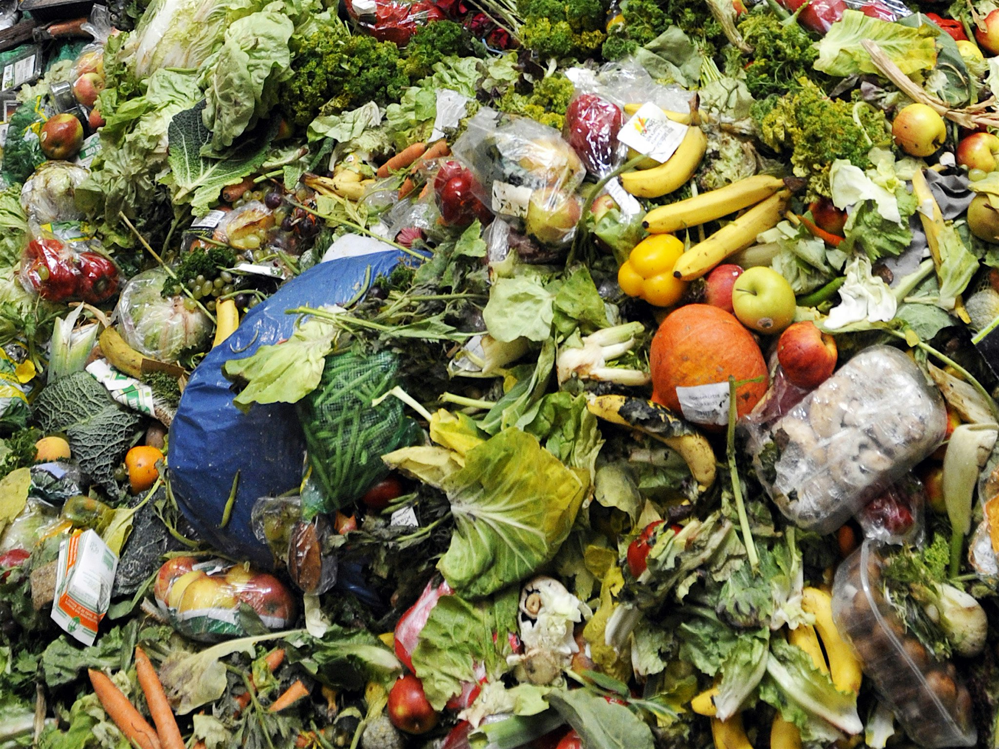"Italy is set to pass a law that will make supermarkets donate their waste food to charities. It ...