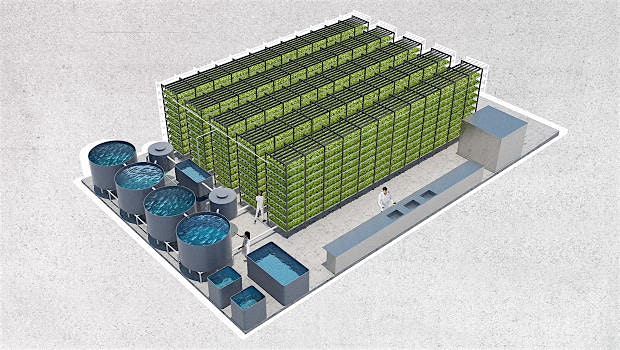 "In a year, a startup plans to produce 180,000 pounds of food for local grocery stores and restau...