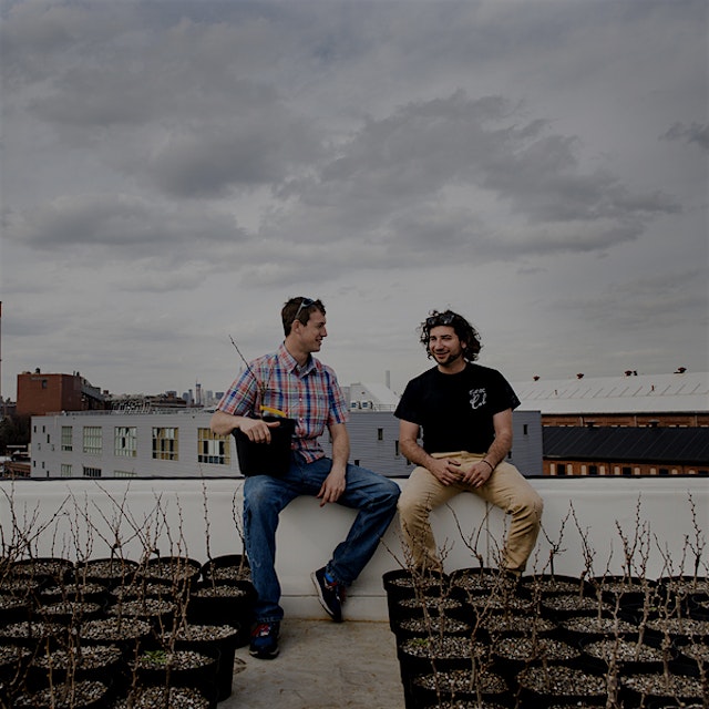 First veggie gardens, now vineyards on Brooklyn rooftops! "If Rooftop Reds were allowed to put “B...