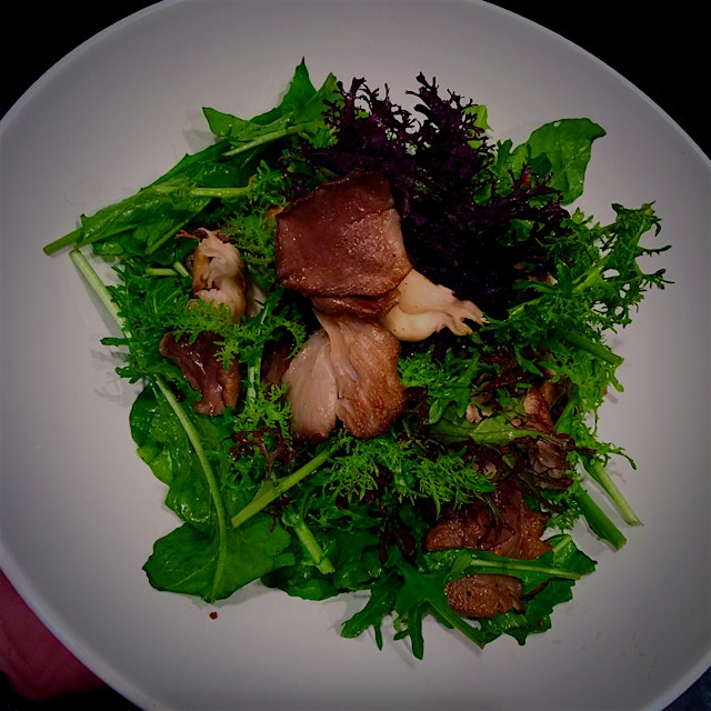 Pan seared Blue Oyster Mushrooms (Ithaca, NY) over Mustard Greens & Arugula tossed with Aged Whit...