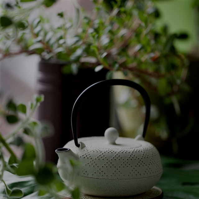 A great way to start the morning is with a fresh pot of tea, handpicked from the garden (lemongra...