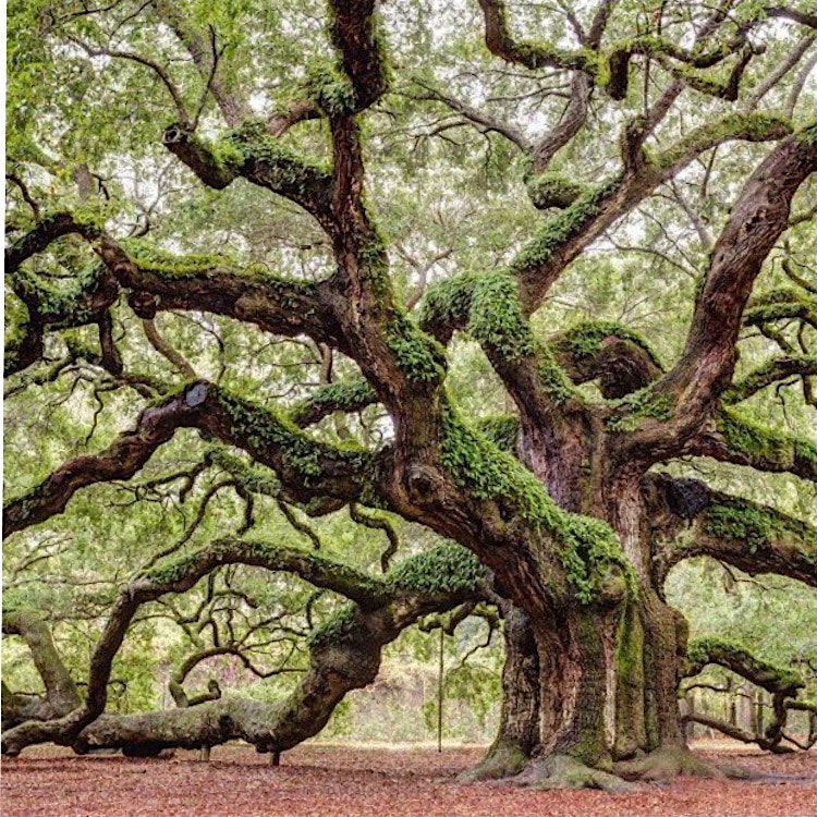 irobbedafarmer's post