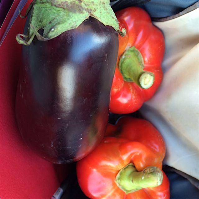 A small portion of my corbin hill farm share bounty from yesterday!