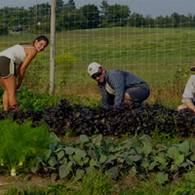 "College farms are important centers for learning and community on campuses throughout the countr...