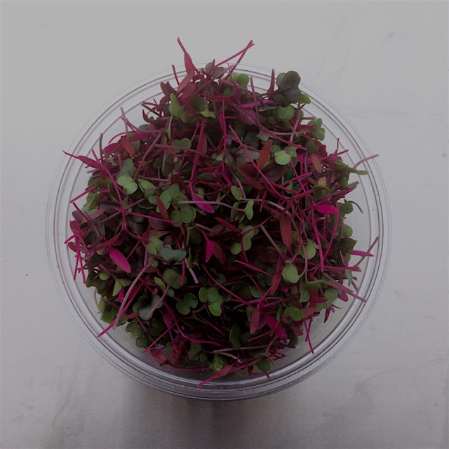 This is our mild mix. It includes red Russian kale, amaranth and red cabbage. It's packed with nu...