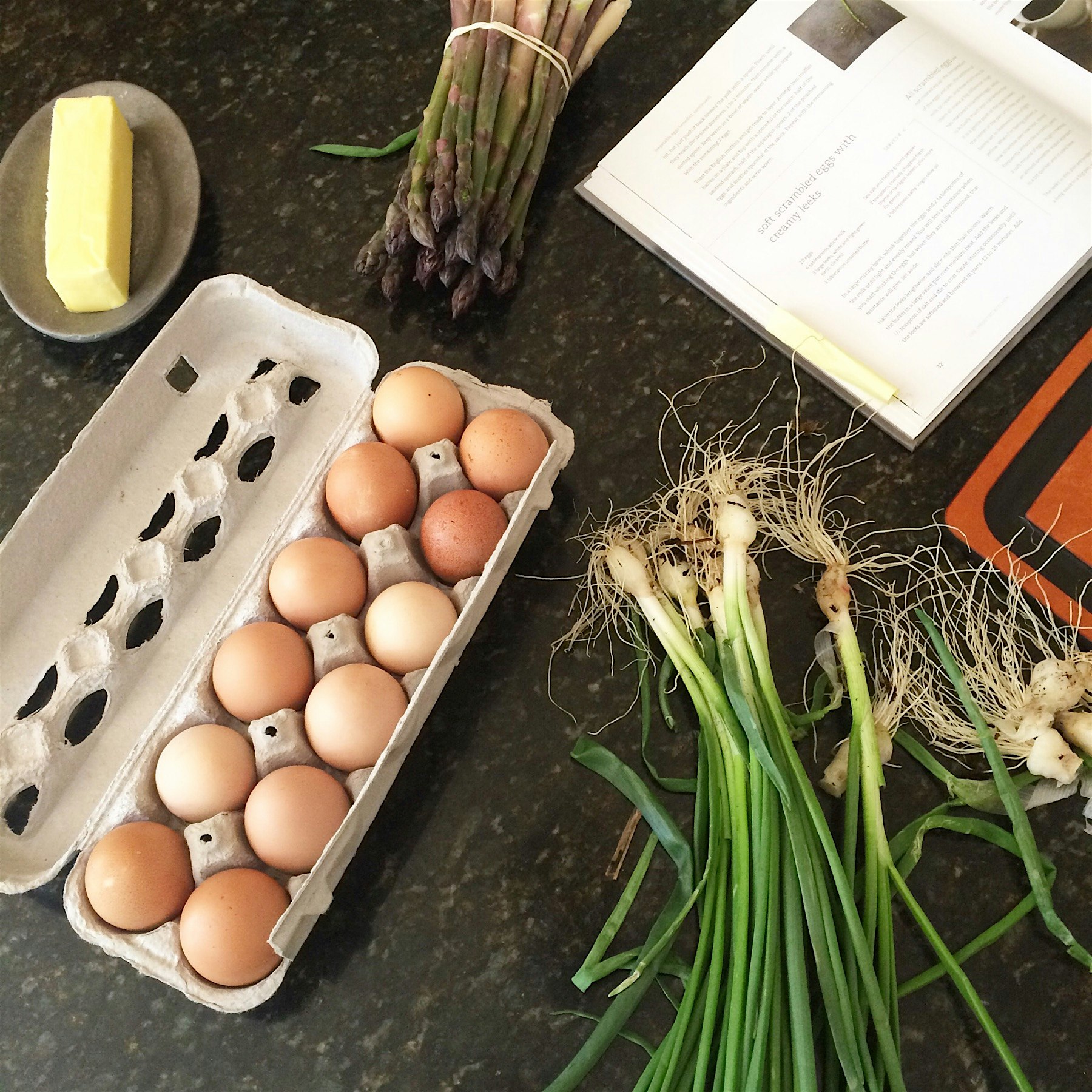 KristenBeddard's post