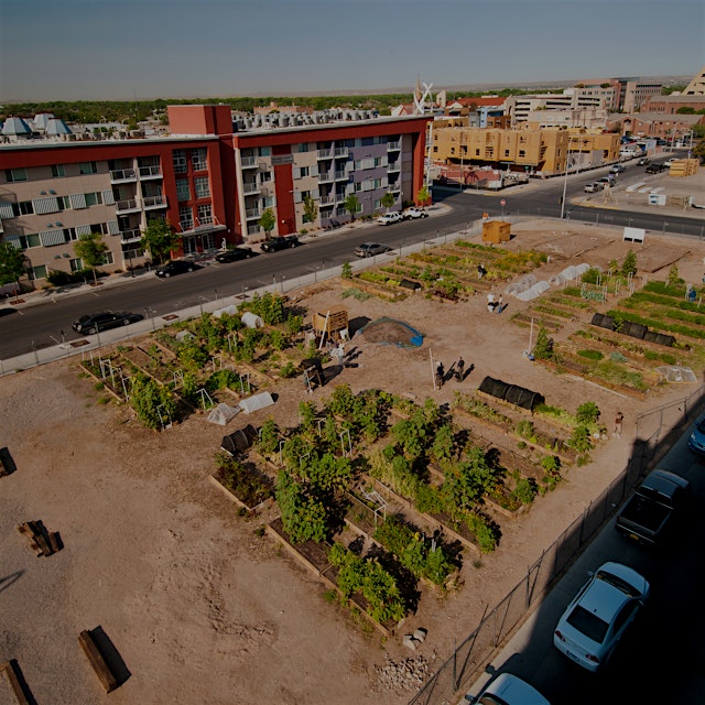 "A new report digs deep to find out whether urban farms can feed urban populations." #foodnews