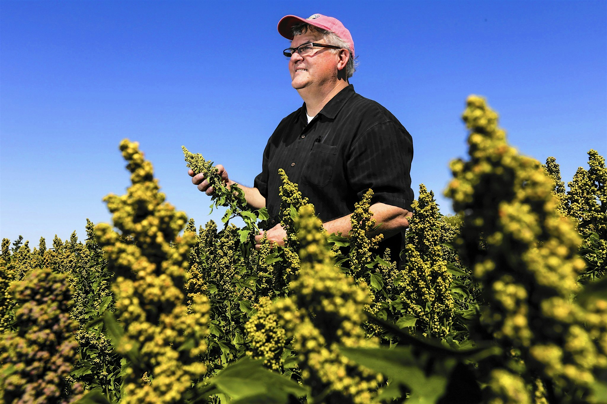 "Bryce Lundberg is elated, which is saying a lot for a California farmer these days."