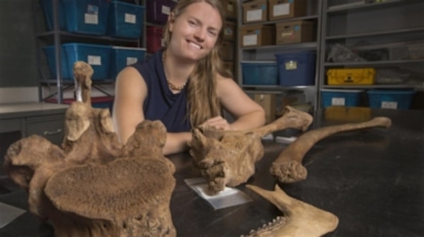 Fascinating read showing that humans were living in much of the Americas well before the cultural...