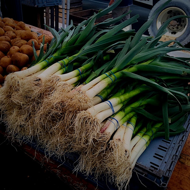 Picked up these stalks of fragrant spring garlic at Daag plaza farmers market! #eatingfresh #Food...