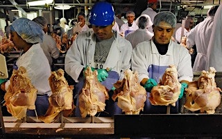 "**Edited: We're signing off for now, but will come back later today to answer any outstanding qu...