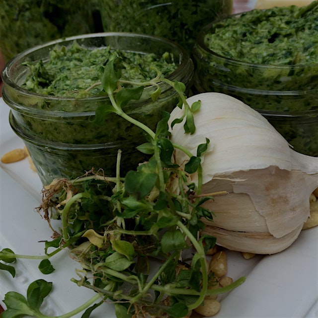 I bought too many ramps and too much chickweed a few weekends ago, so made it into pesto! (Yes, I...