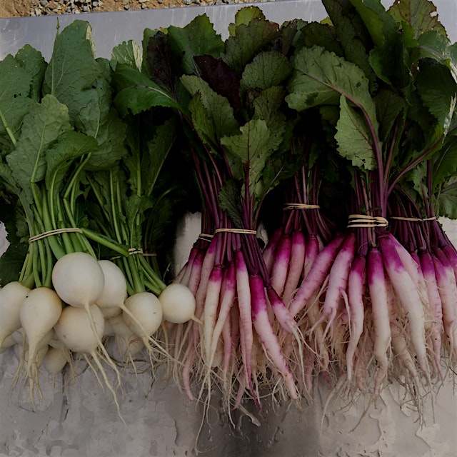 Don't get rid of your turnip greens! Chop them off of your turnips before storing in the fridge i...