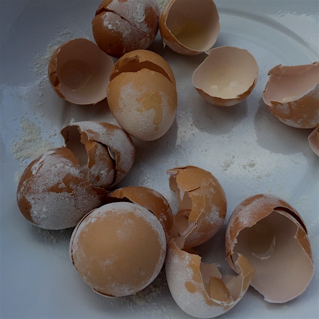 Egg shells are an excellent source of calcium. Sprinkle crushed shells around the base of pepper ...