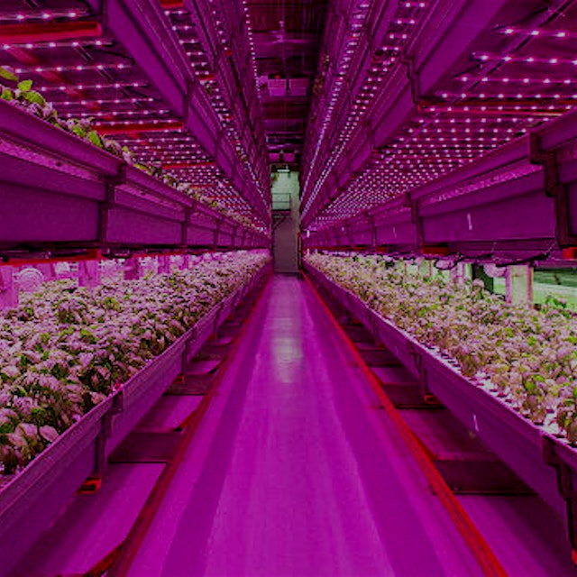 "With a cornucopia of new ag startups, from rooftop greenhouses to high-tech vertical farms, the ...