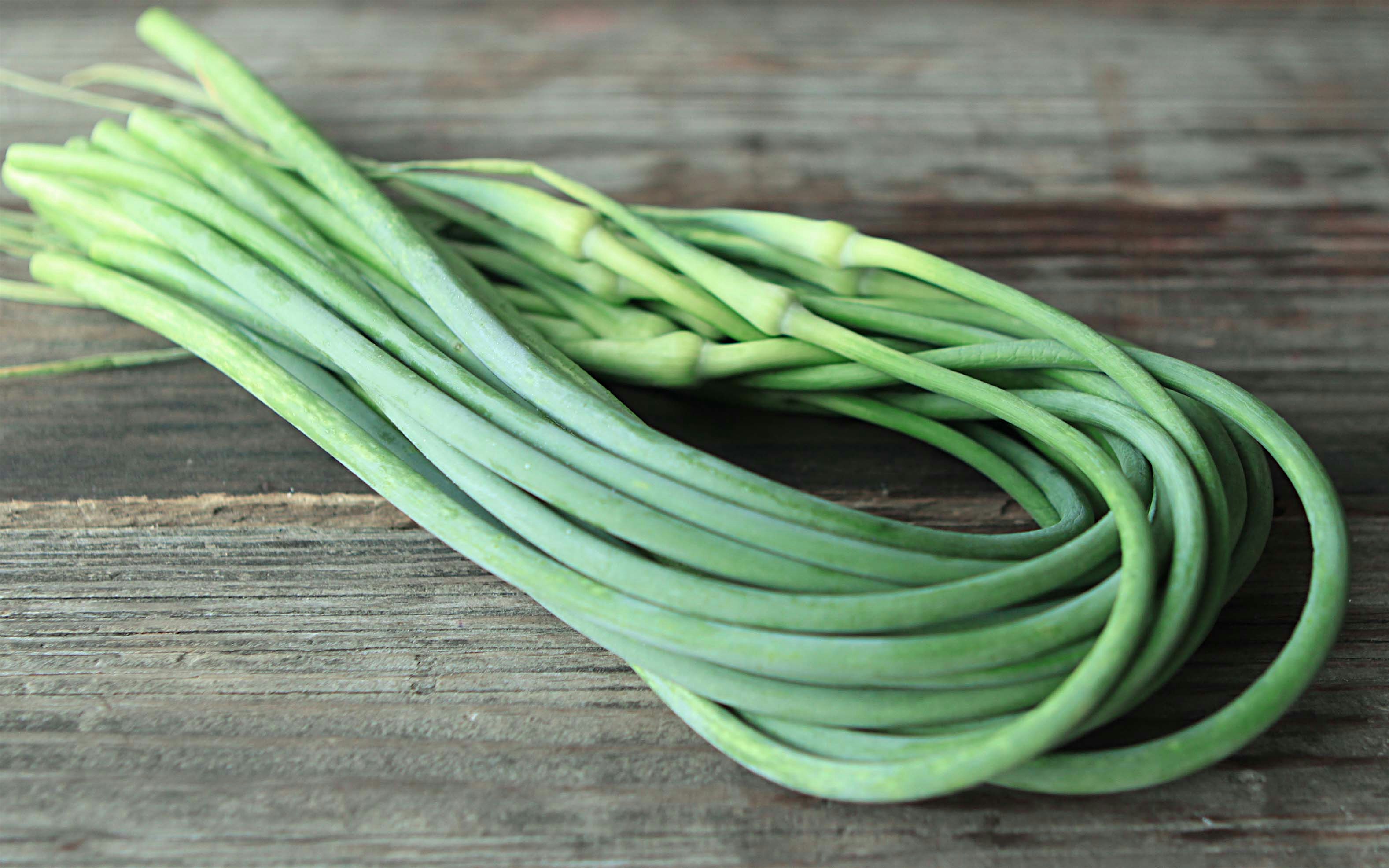 First seen this past week in the Northeast. 