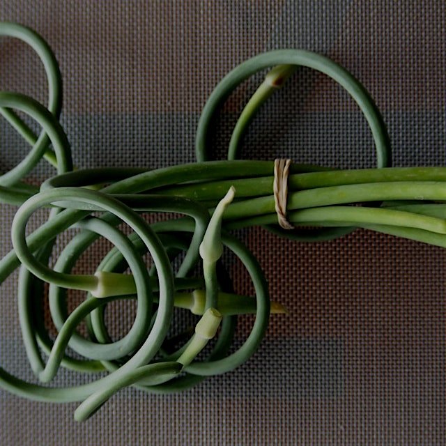 "Love garlic? You need to be cooking with garlic scapes." #NoFoodWaste